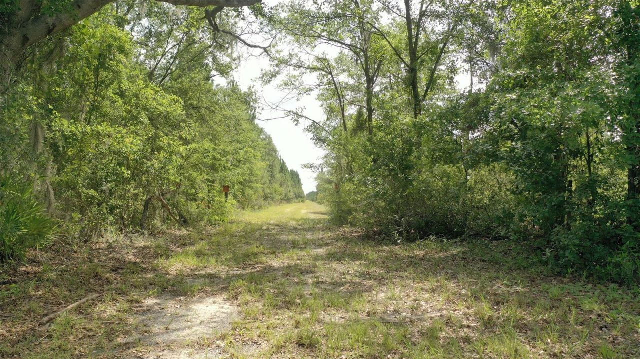 Us Hwy 441 N, Lake City, FL 32055 Photo