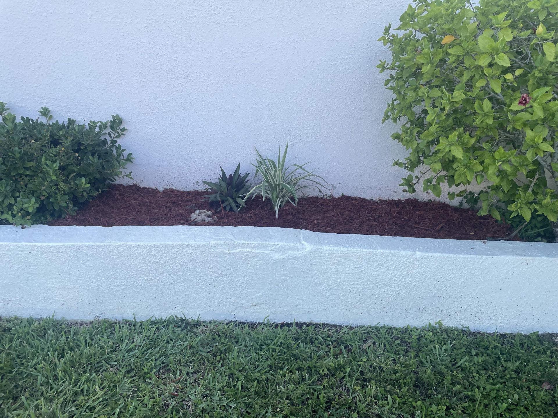 2545 NW 105th Lane, Sunrise, FL 33322 Photo