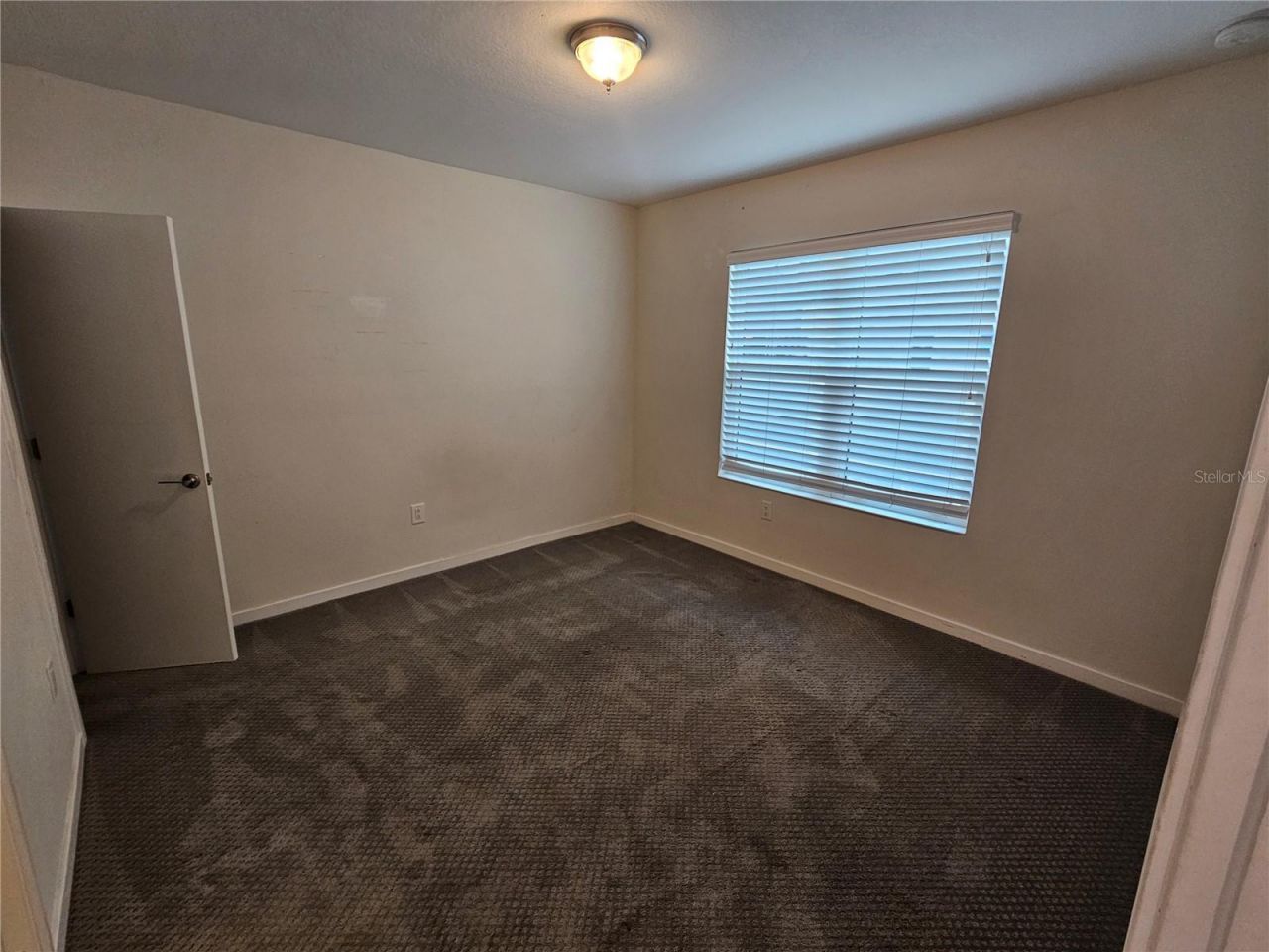 339 8th Street N, Saint Petersburg, FL 33701 Photo