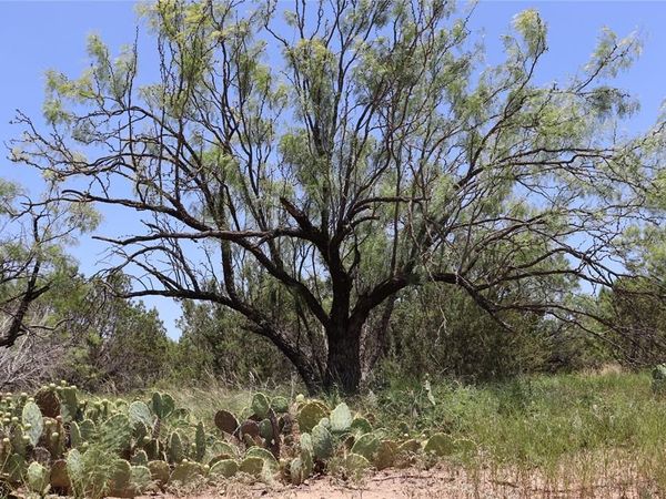 1234 RR11 RECREATIONAL ROAD 11, Millersview, TX 76862
