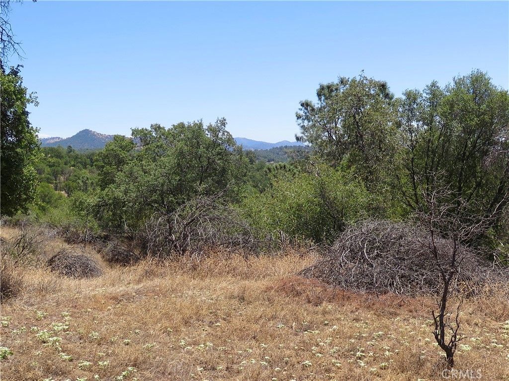 0 Ramblin Rd, Mariposa, CA 95338 Main Photo