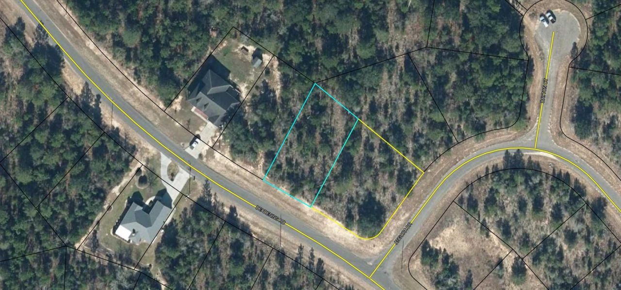 Lot 3 Deadening Road, Chipley, FL 32428 Main Photo