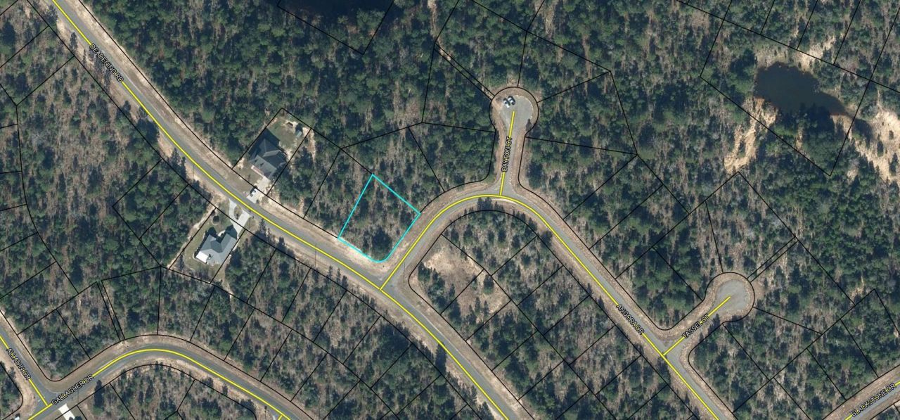 Lot 4 Angora Drive, Chipley, FL 32428 Main Photo