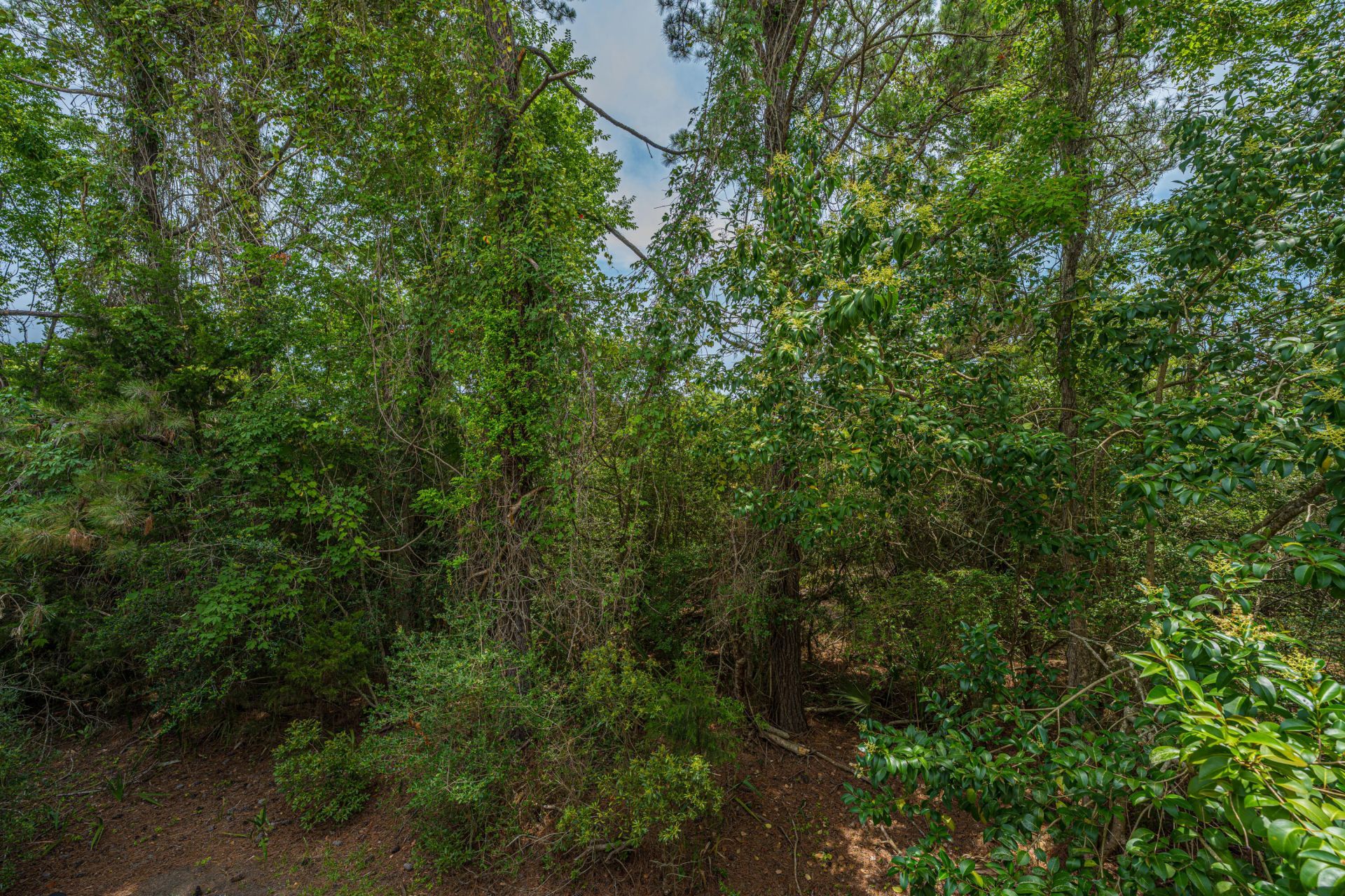 401 Kinloss Country Lane Photo 42