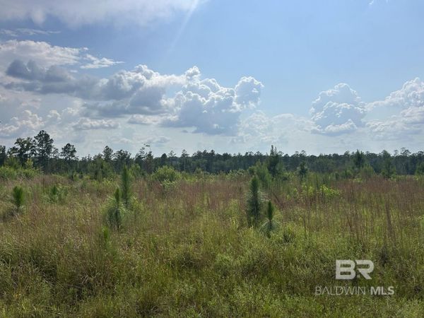 0 Bradley Road, Brewton, AL 36426