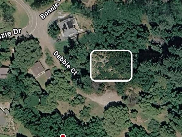 27891 Debbie Court, Pioneer, CA 95666
