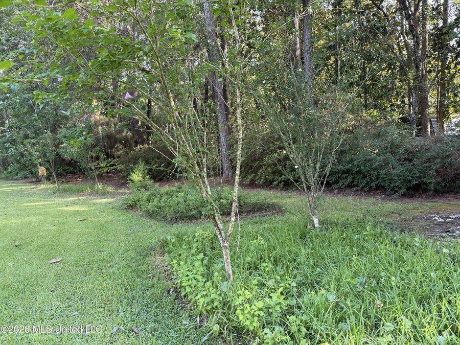 Property Image 56
