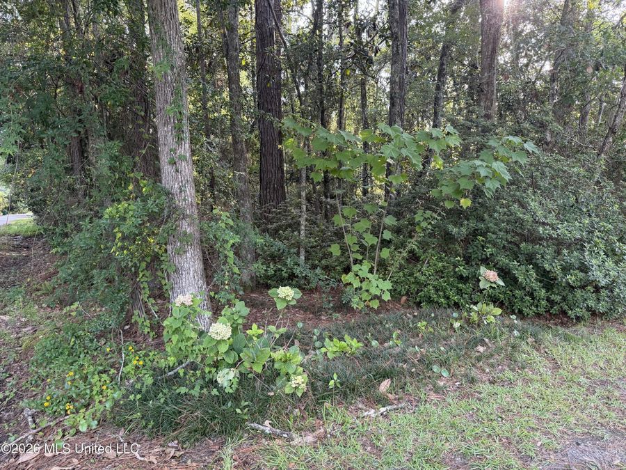 Property Image 57