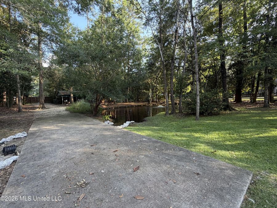 Property Image 63
