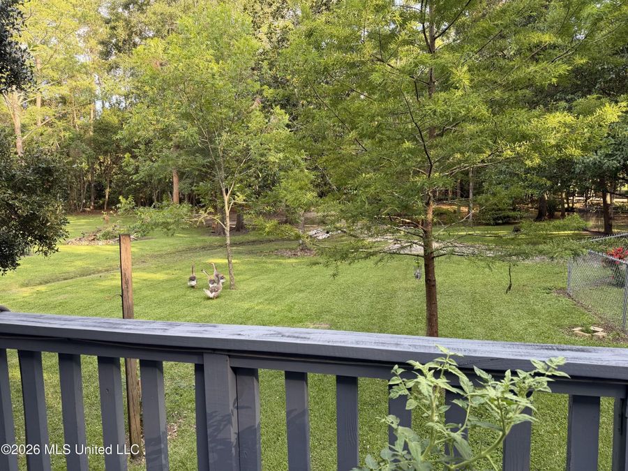 Property Image 66
