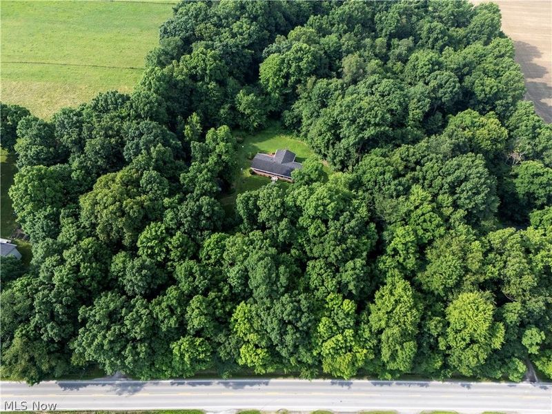 9679 E Easton Road , Rittman, OH 44270 Photo 31
