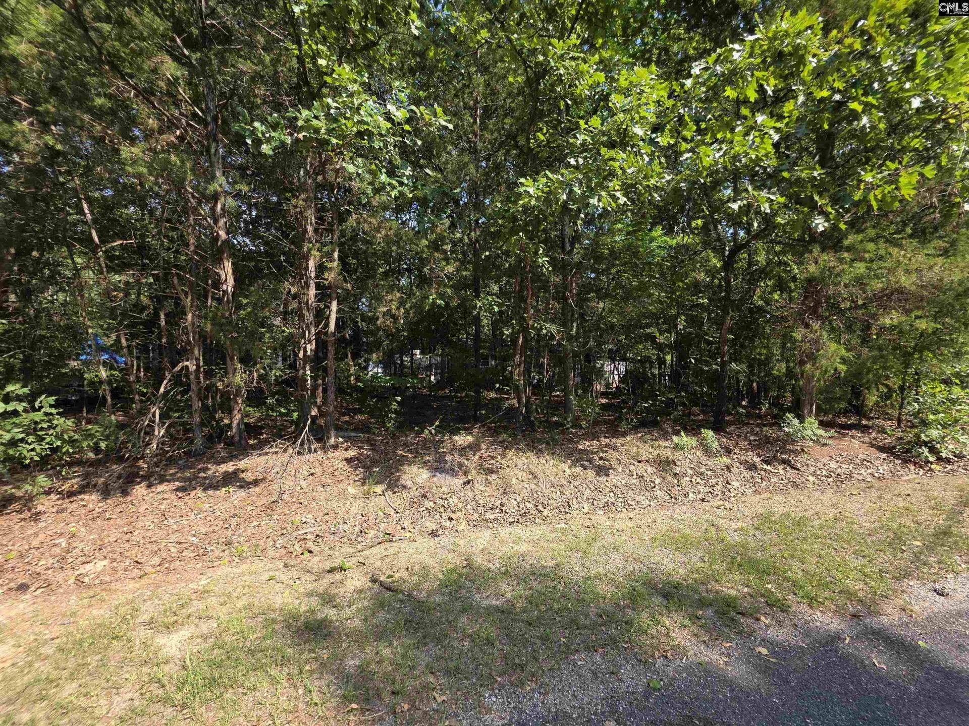 524 Lakemont Drive Photo 48