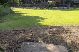 524 Lakemont Drive photo 4
