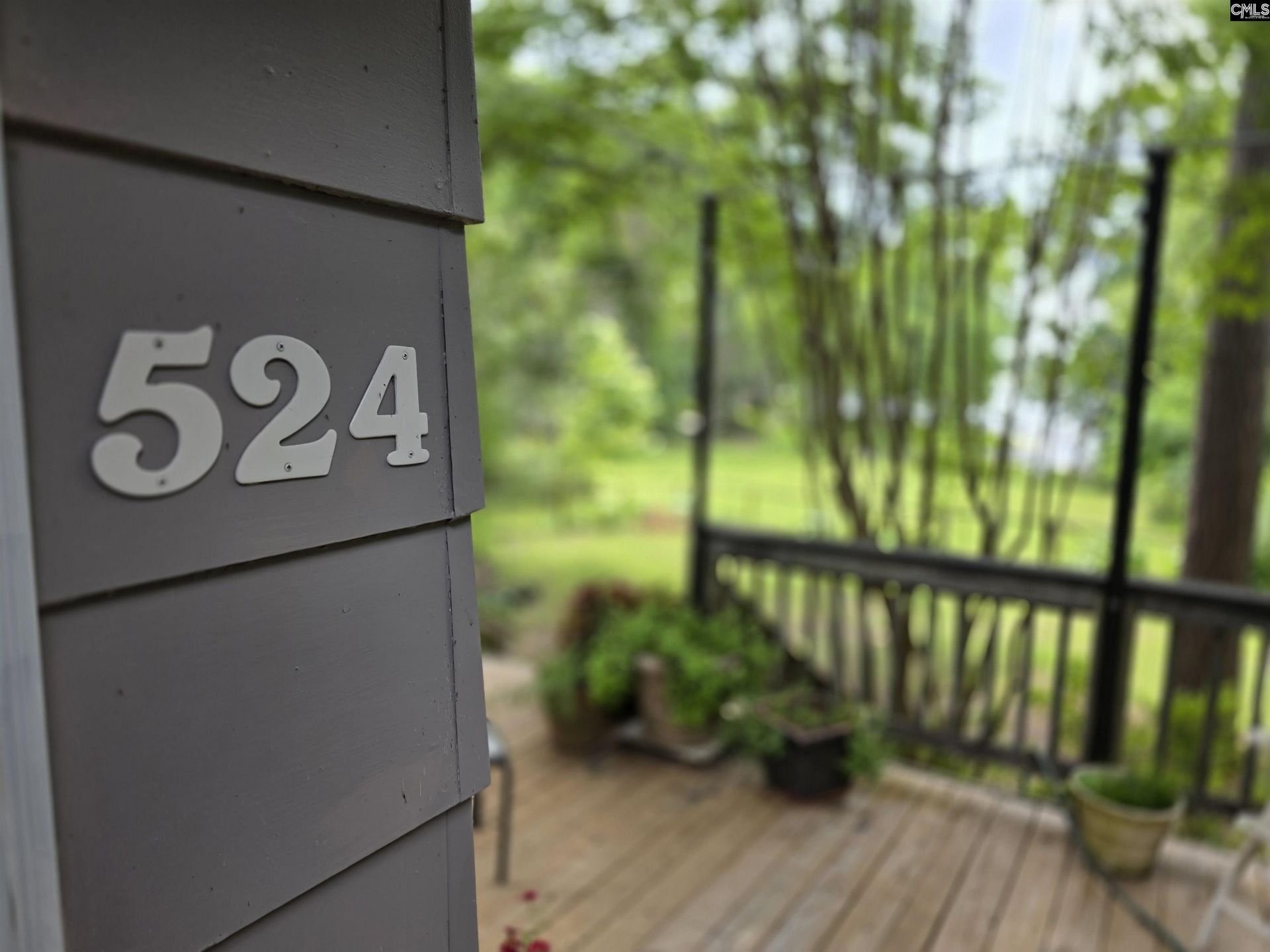 524 Lakemont Drive Photo 62