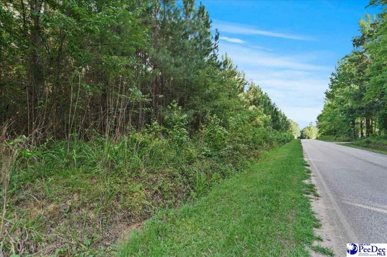Tbd W Jackson Road Photo 10