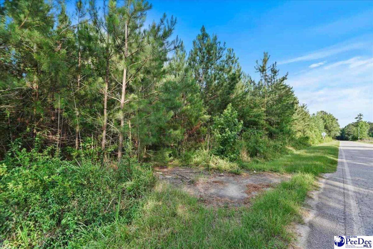 Tbd W Jackson Road Photo 11