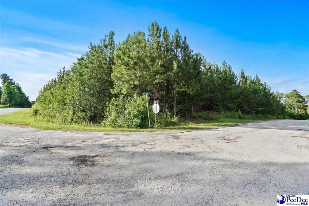 Tbd W Jackson Road Photo 12