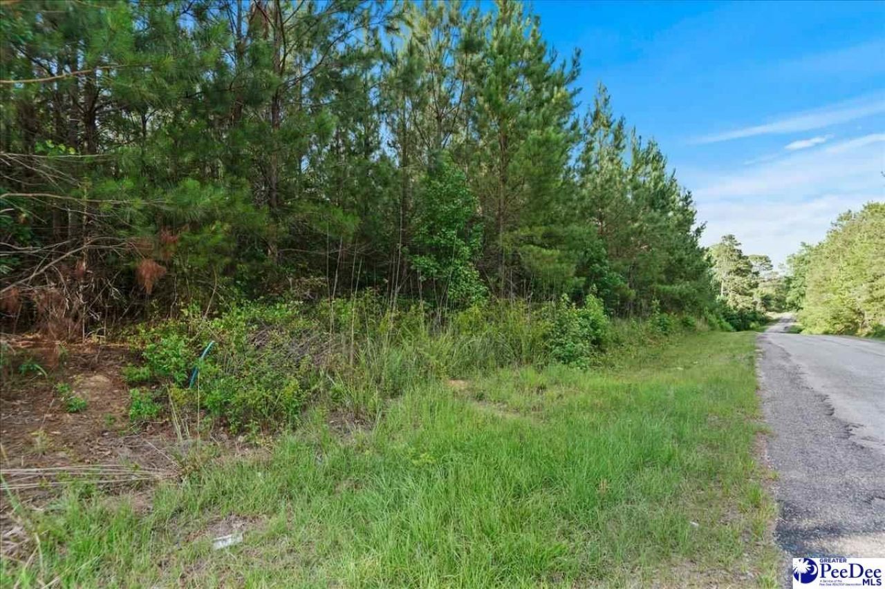 Tbd W Jackson Road Photo 13