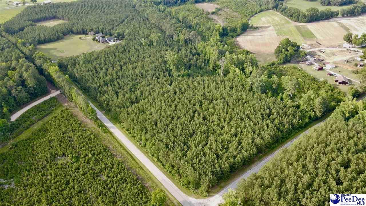 Tbd W Jackson Road Photo 4