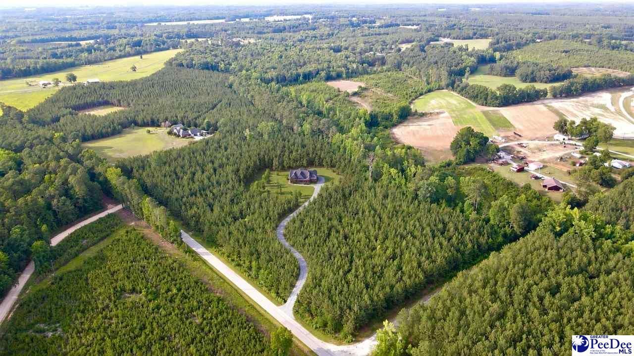 Tbd W Jackson Road Photo 9