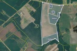 1002 Sam Lee Road photo 4