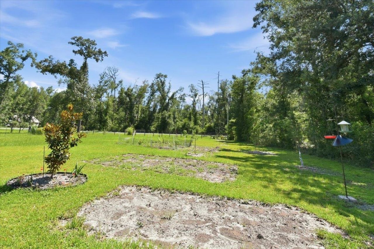 231 NE Green Tree Terrace , Lee, FL 32059 Photo