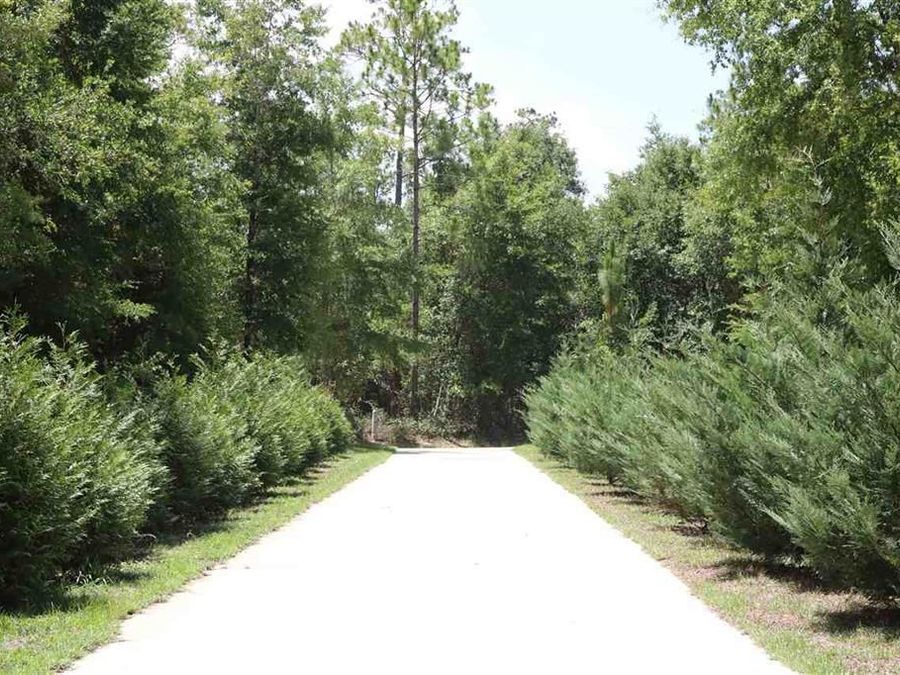 Property Image 6