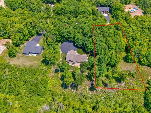 TBD Dillexie Lane, Manistique Twp, MI 49854