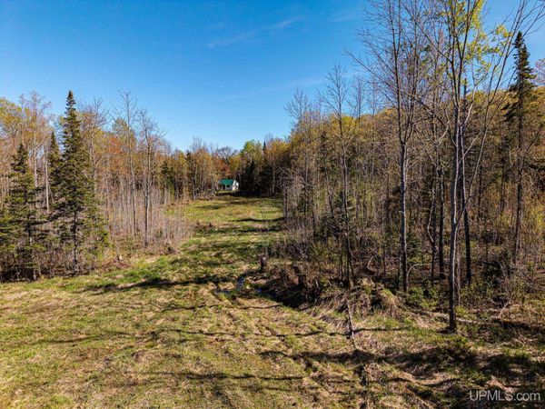 ON Mill Street, Marenisco Twp, MI 49947