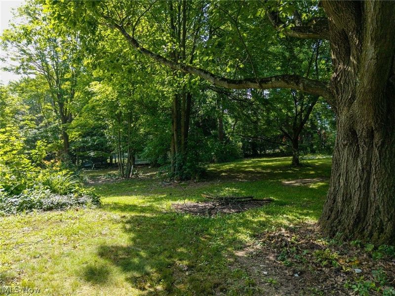 8061 Yoder Road, Seville, OH 44273 Photo 11
