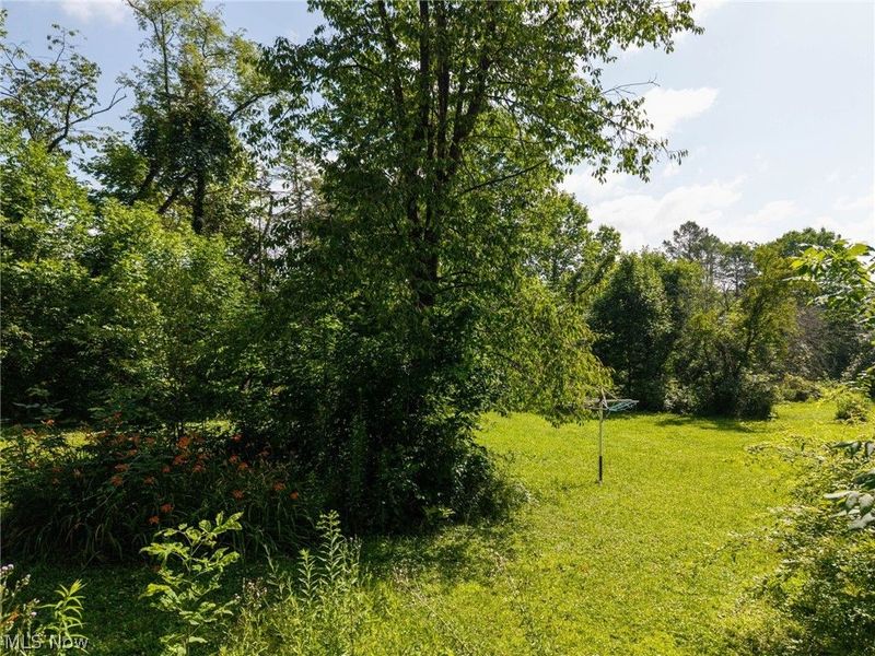 8061 Yoder Road, Seville, OH 44273 Photo 12
