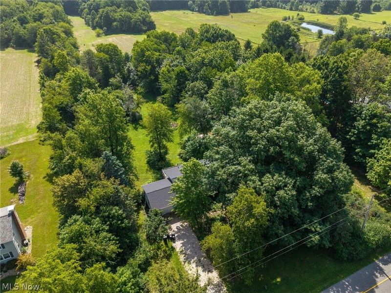 8061 Yoder Road, Seville, OH 44273 Photo 17