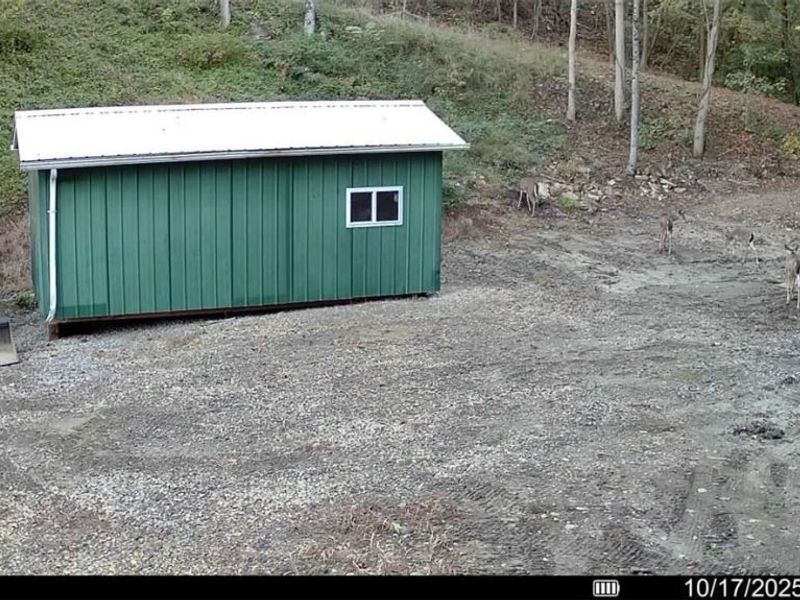 21500 Putney Ridge Road, Salesville, OH 43778 Photo 2