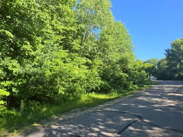 TBD Aspen Lane, Cushing, MN 56443