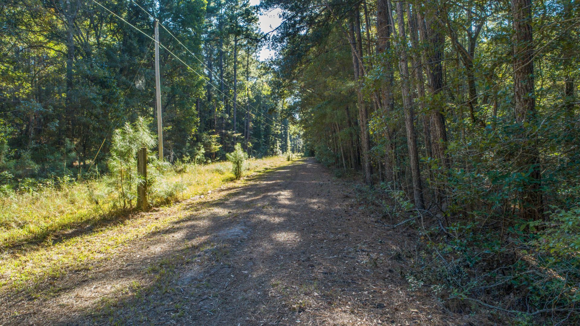 00 Givhans Ferry Road  Photo 21