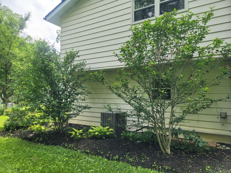 599 Carryback Drive SW, Pataskala, OH 43062 Photo 7