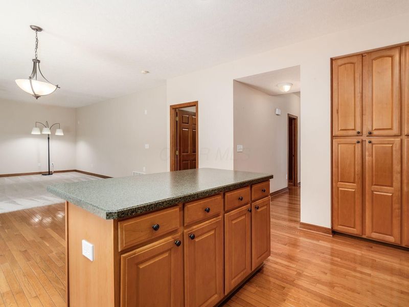6799 Greenspire Drive, Lewis Center, OH 43035 Photo 14