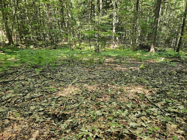 234 Old Cheshire Turnpike, Walpole, NH 03608