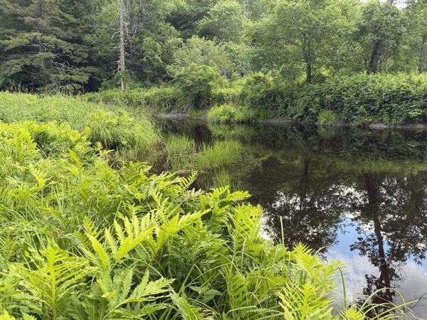Lot 16-6 Norridgewock Road , Fairfield, ME 04937