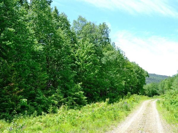 Map004/030 Ermine Road , Sandy River Plt, ME 04970