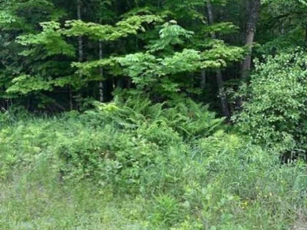 3-3-A Avenue Road , Corinth, ME 04427