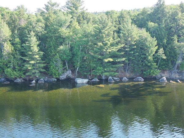 M5 L9&10 Black Point Road , Beaver Cove, ME 04441