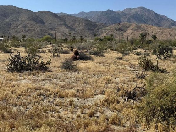 Broken Arrow, Borrego Springs, CA 92004