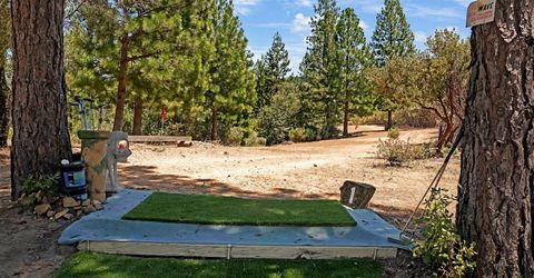 12336 Scott Rd, Sheep Ranch, CA 95246 Photo