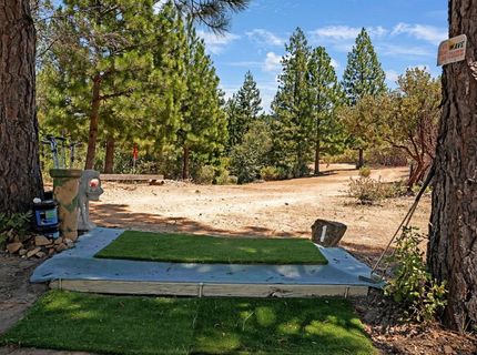 12336 Scott Rd, Sheep Ranch, CA 95246 Photo