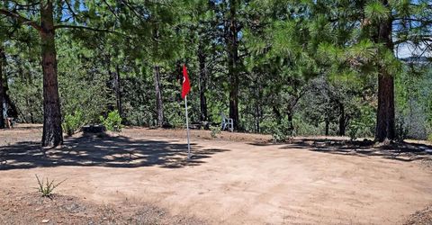 12336 Scott Rd, Sheep Ranch, CA 95246 Photo