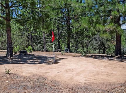 12336 Scott Rd, Sheep Ranch, CA 95246 Photo