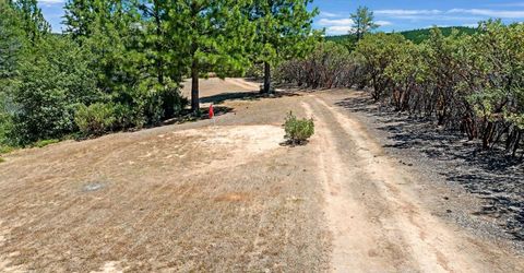 12336 Scott Rd, Sheep Ranch, CA 95246 Photo