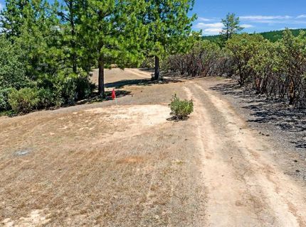 12336 Scott Rd, Sheep Ranch, CA 95246 Photo