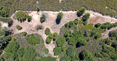 12336 Scott Rd, Sheep Ranch, CA 95246 Photo